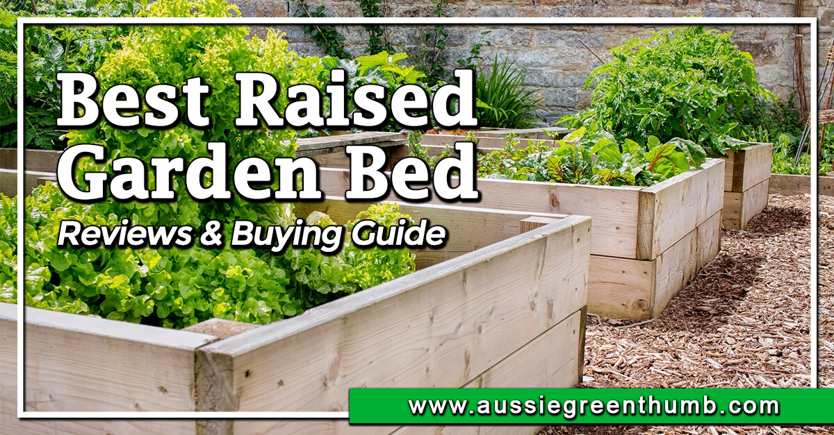 10 Best Raised Garden Bed and Planter Boxes for 2024