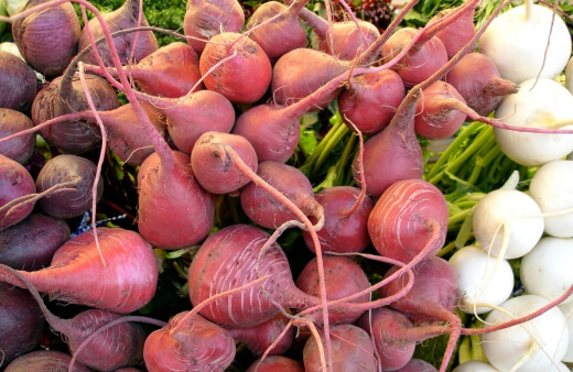 Beets are simple to grow. Among their many appealing qualities is their ability to tough it out in the cold.