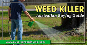 Best Weed Killer Australian Buying Guide