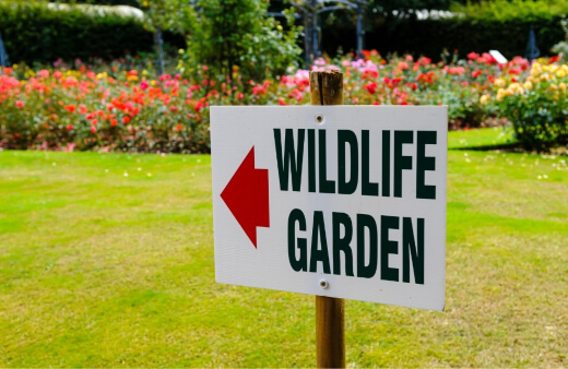 How to Attract Wildlife to Your Garden