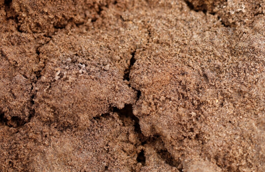 Problem with soils