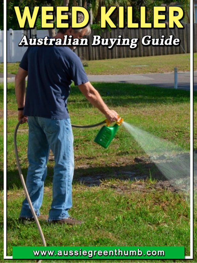 Best Weed Killer Australian Buying Guide 2022 Aussie Green Thumb