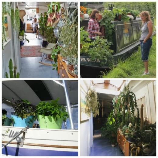 Essential Tips For Boat Gardening Essential Tips For Boat Gardening