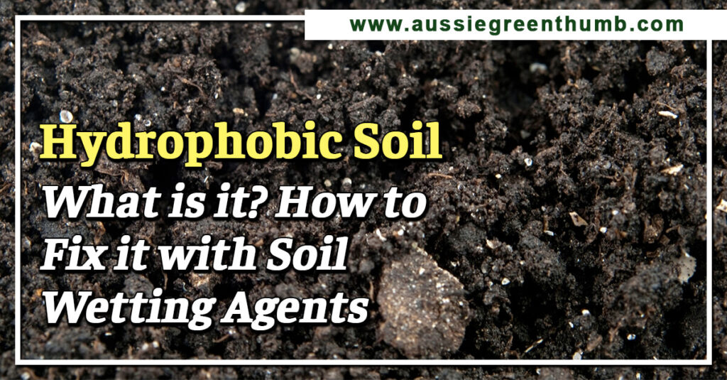 Hydrophobic Soil What is it? How to Fix it with Soil Wetting Agents