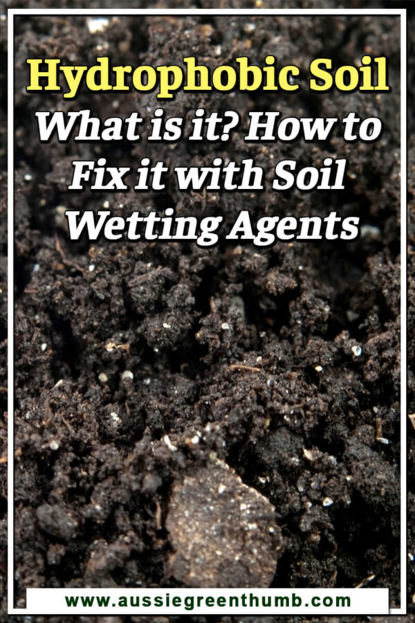 Hydrophobic Soil Water Repellent Soil and How to Fix It