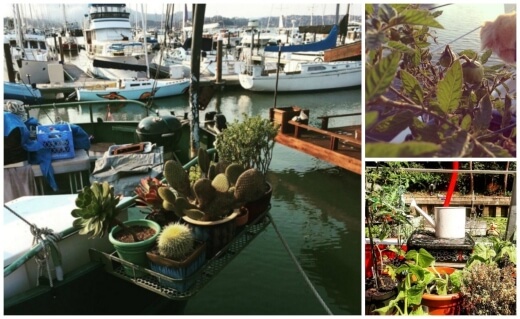 Things to Consider for a Boat Garden Things to Consider for a Boat Garden