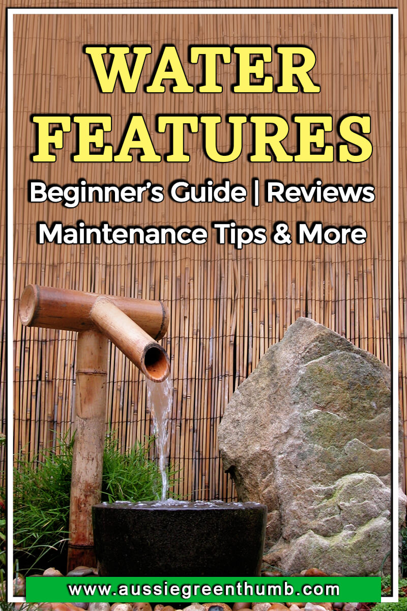 Water Features Beginner's Guide Reviews, Maintenance Tips & More