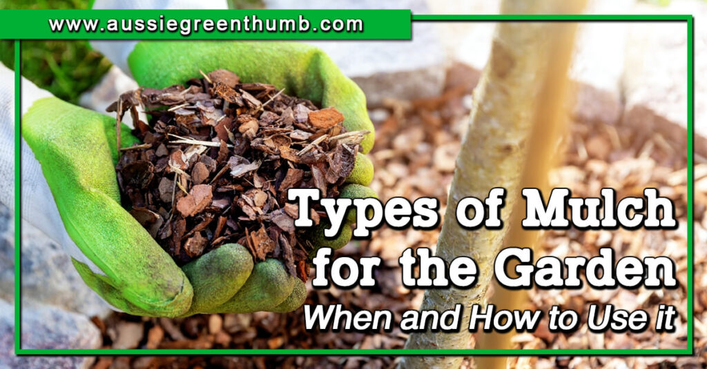 Best Types of Mulch for the Garden When and How to Use it