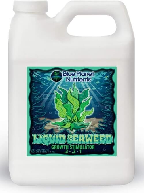 Blue Planet Nutrients Liquid Seaweed