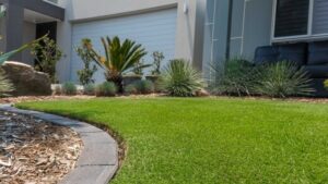 Handling and Laying Sir Grange Zoysia