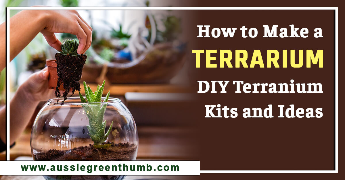 How to Make a Terrarium – DIY Terranium Kits and Ideas