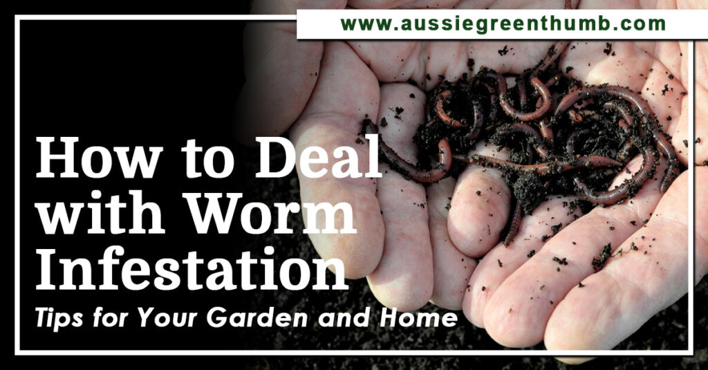 How to Deal with Worm Infestation Tips for Your Garden and Home