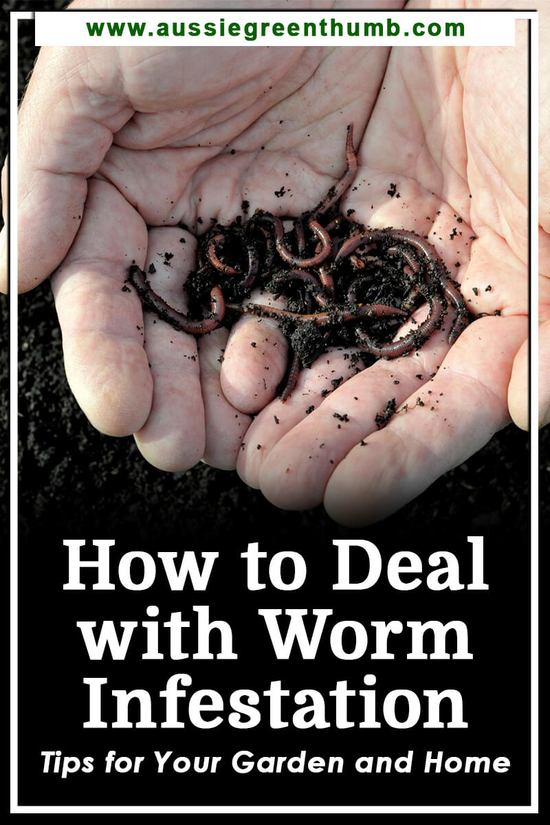 How to Deal with Worm Infestation Tips for Your Garden and Home