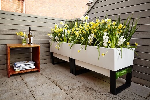 GlowPear Urban Garden Self Watering Planter is perfect for salads, carrots, or tomatoes, especially in a sunny spot