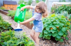 How to Make a Child Friendly Garden
