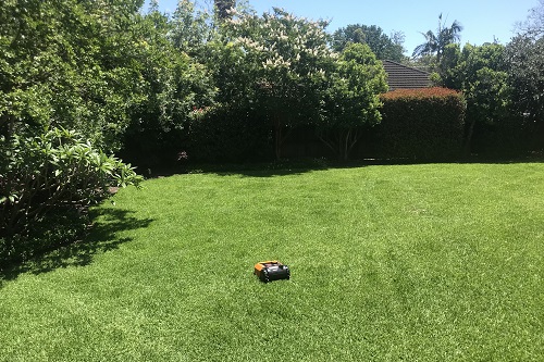Worx Landroid robot lawnmower mowing the lawn