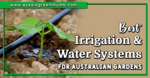 Best Irrigation and Water Systems for Australian Gardens