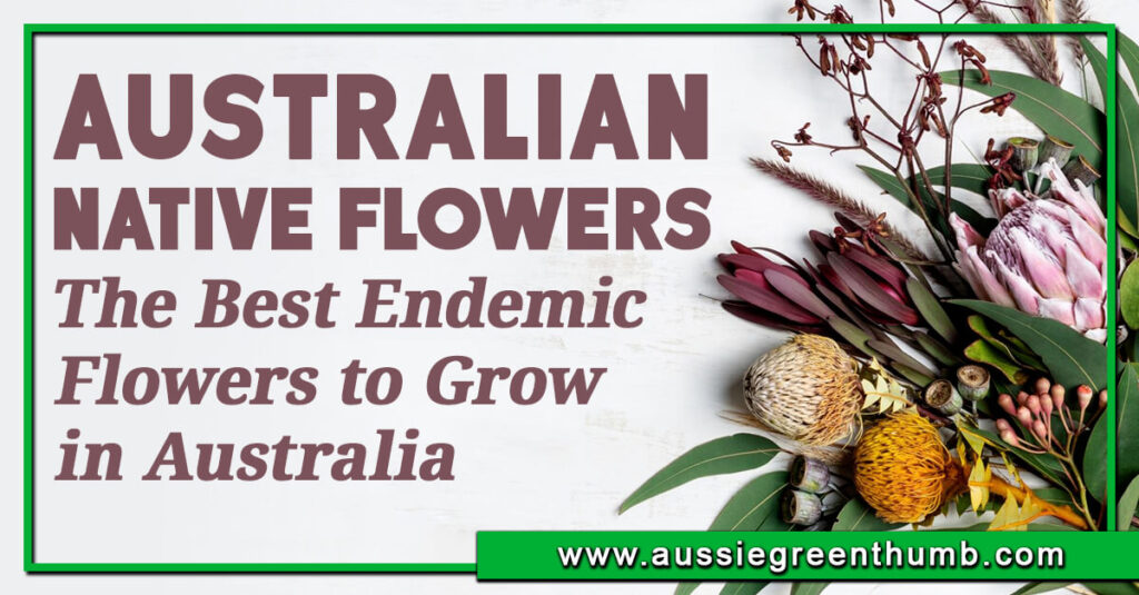 How to Send Flowers Internationally Aussie Green Thumb