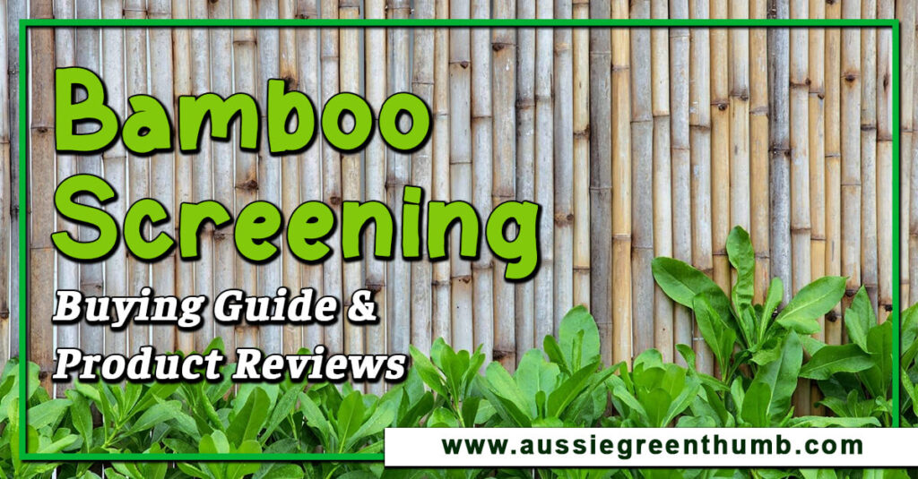 Bamboo Screening Buying Guide and Product Reviews