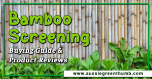 Bamboo Screening Buying Guide and Product Reviews