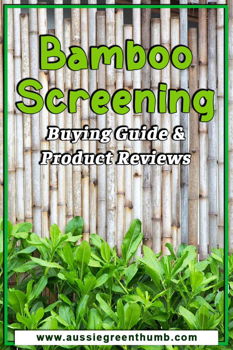 Bamboo Screening Buying Guide and Product Reviews