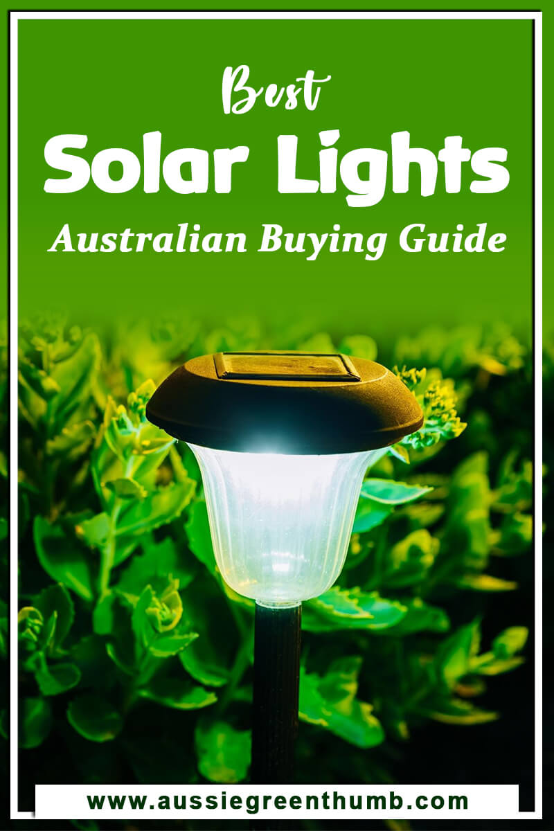 Best Solar Lights Australian Buying Guide