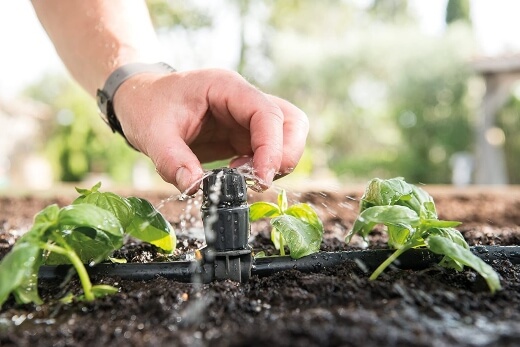 Guide to Garden Irrigation Systems
