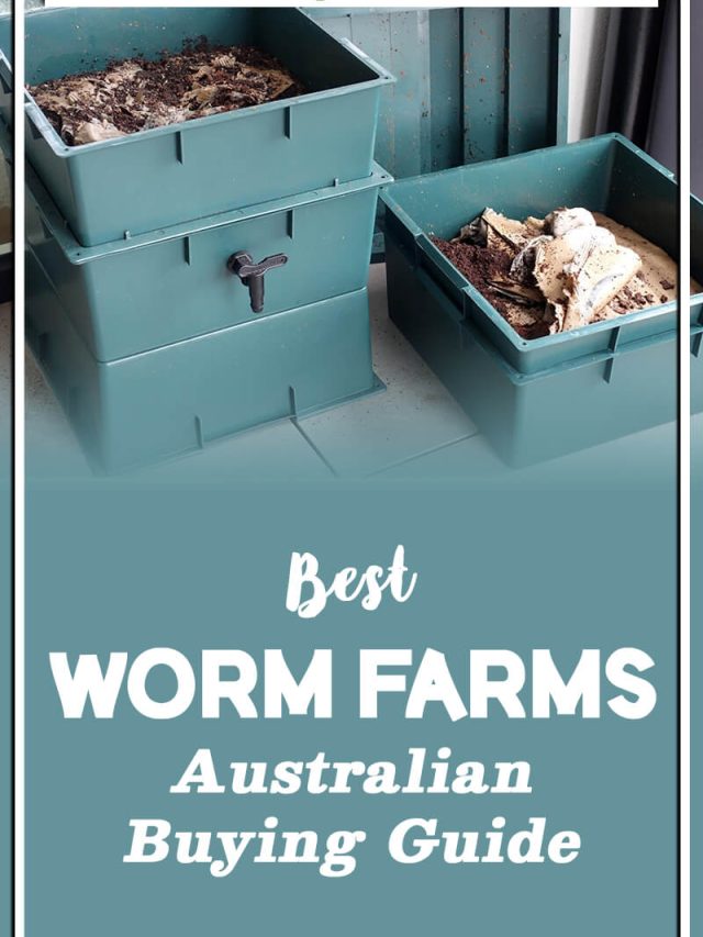 Best Worm Farms | Australian Buying Guide 2023