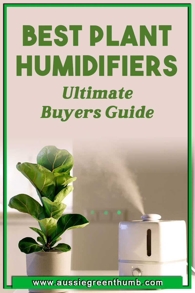 Best Plant Humidifiers – Ultimate Buyers Guide