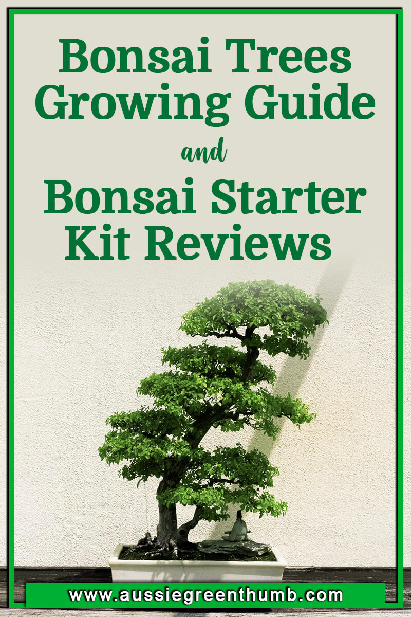 Bonsai Trees Growing Guide & Bonsai Starter Kit Reviews