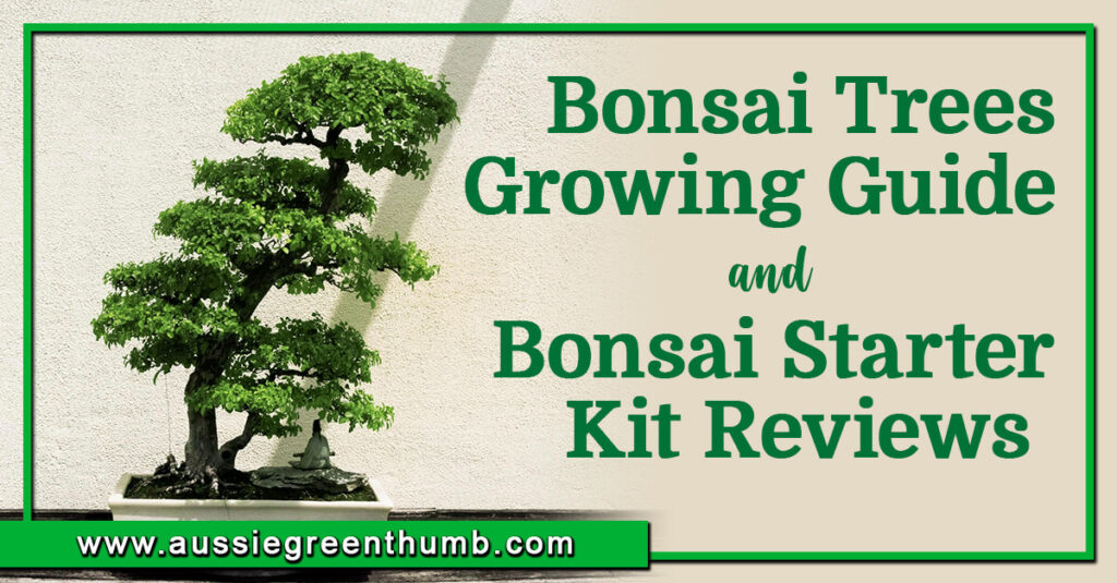 Bonsai Trees Growing Guide & Bonsai Starter Kit Reviews