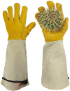 Gloslav Thorn Proof Garden Gloves