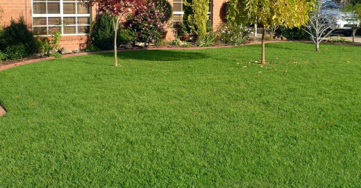 Kikuyu Grass is great for the Australian climate and offers garden year-round greenery