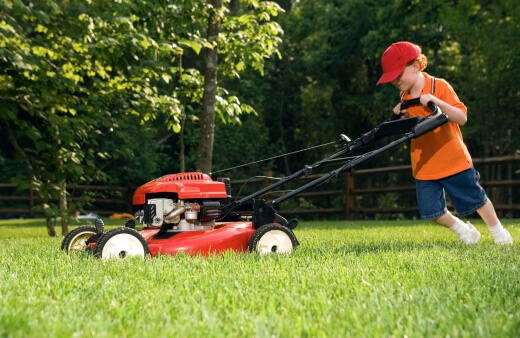 Taking Care of Your New Lawn