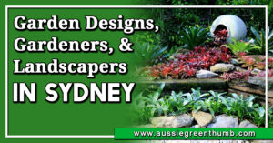 Best Garden Designs, Gardeners, and Landscapers in Sydney