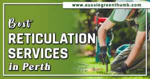 Best Reticulation Services in Perth
