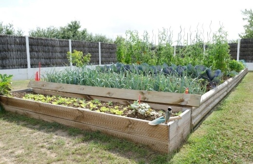 Kitchen garden is a really cost-effective way to garden