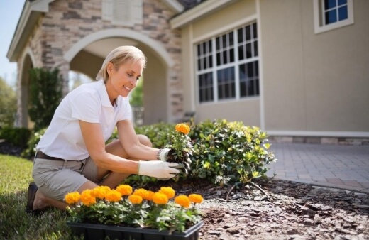 A woman planting marigolds