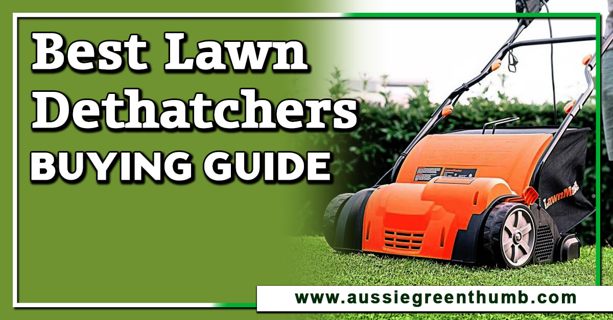 8 Best Lawn Scarifier and Dethatchers in Australia for 2024