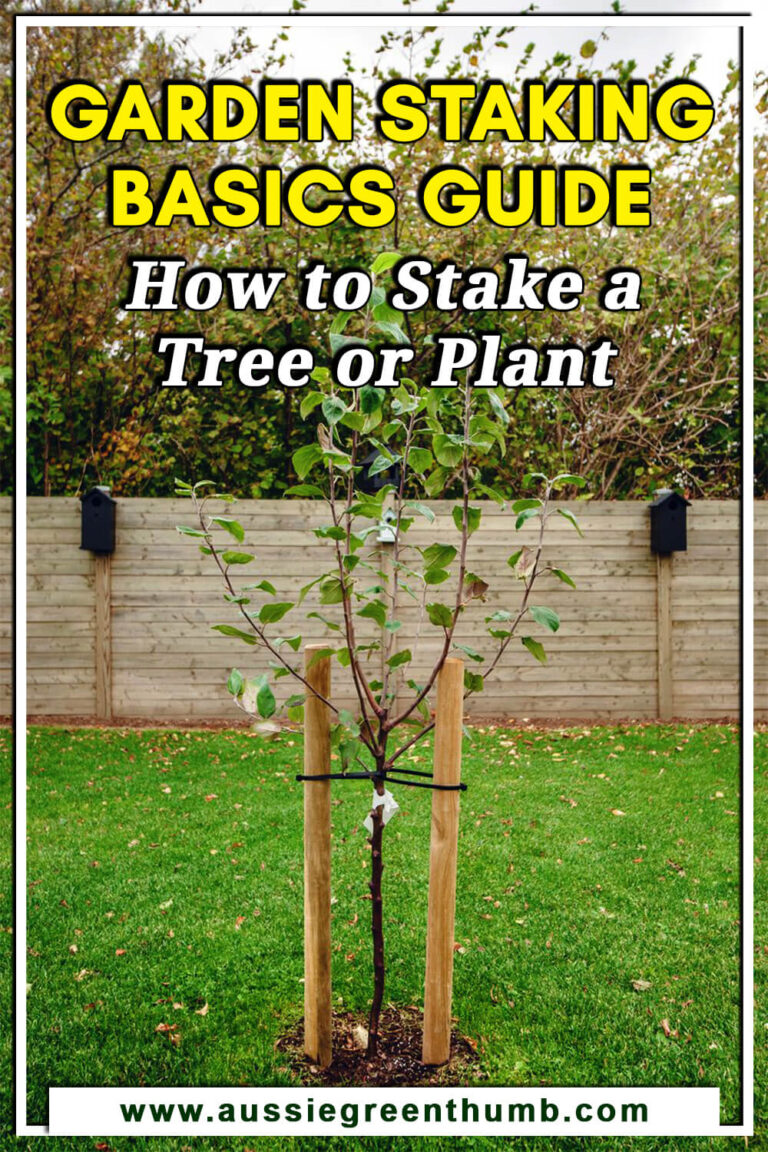 Garden Staking Basics Guide How To Stake A Tree