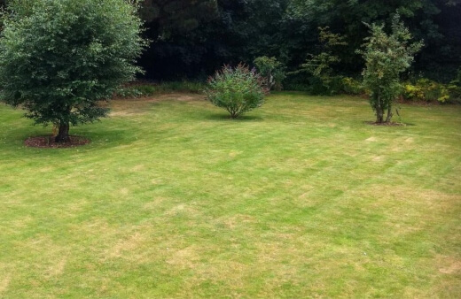 One of the most common lawn problems in Australia is dead patches in the lawn