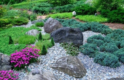 Rock Gardening Ideas