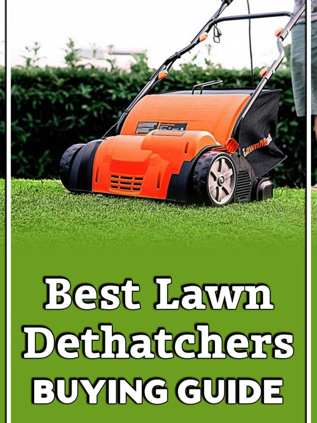 Best Lawn Scarifier and Dethatchers Aussie Green Thumb