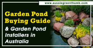 Best Garden Pond Buying Guide and Garden Pond Installers in Australia