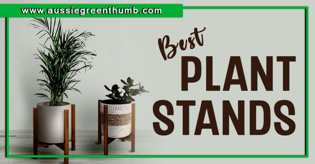 Best Plant Stands