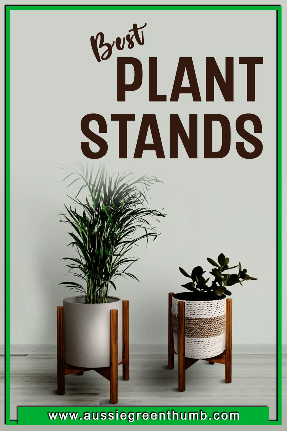 Best Plant Stands
