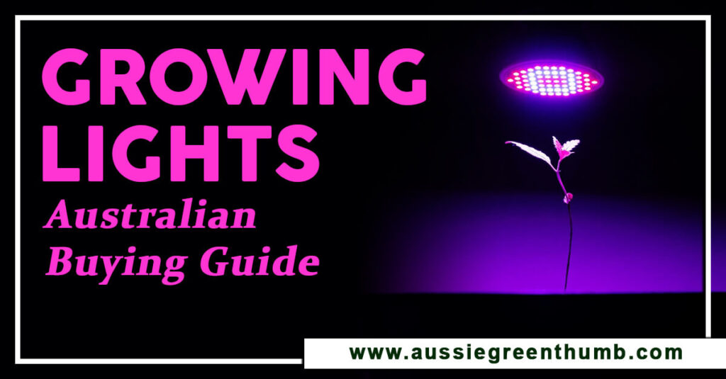 Best Growing Lights Australian Buying Guide