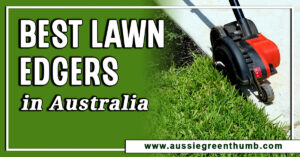 Best Lawn Edgers in Australia