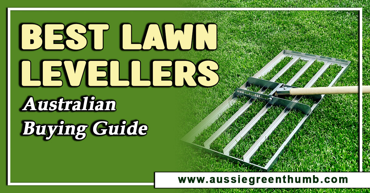 Best Lawn Levellers – Australian Buying Guide