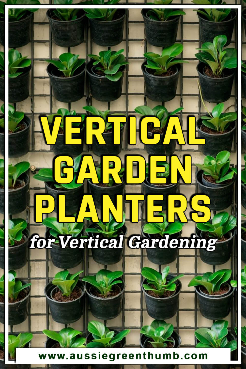 Best Vertical Garden Planters for Vertical Gardening